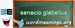 WordMeaning blackboard for senecio glabellus